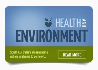 health-environment